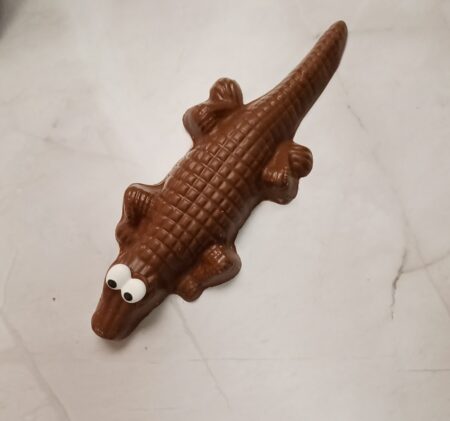 Large Alligator