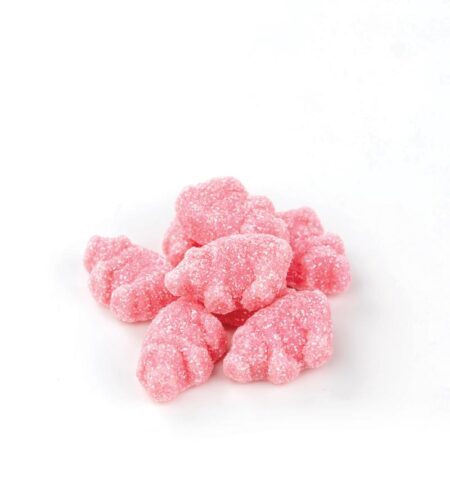 Sour Pigs