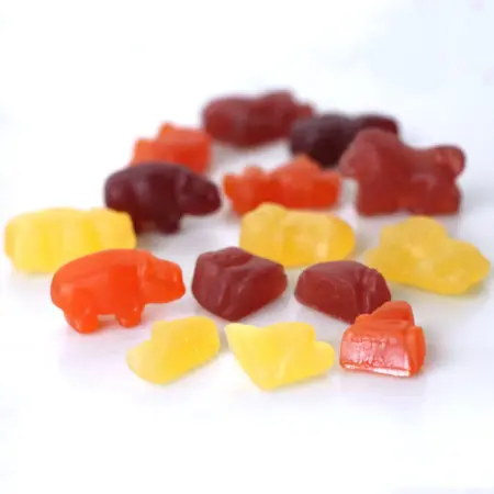 Gummy Zoo Animals